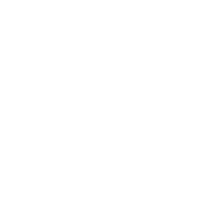 Frontline - IT Services and Outsourcing - Big Data Analytics (icon)