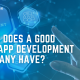 Not all web app development firms are the same. Find out what makes some more advantageous to hire.