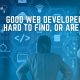 Having a hard time looking for a web developer? Here are some reasons why.