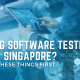 Hiring Software Testers from Singapore