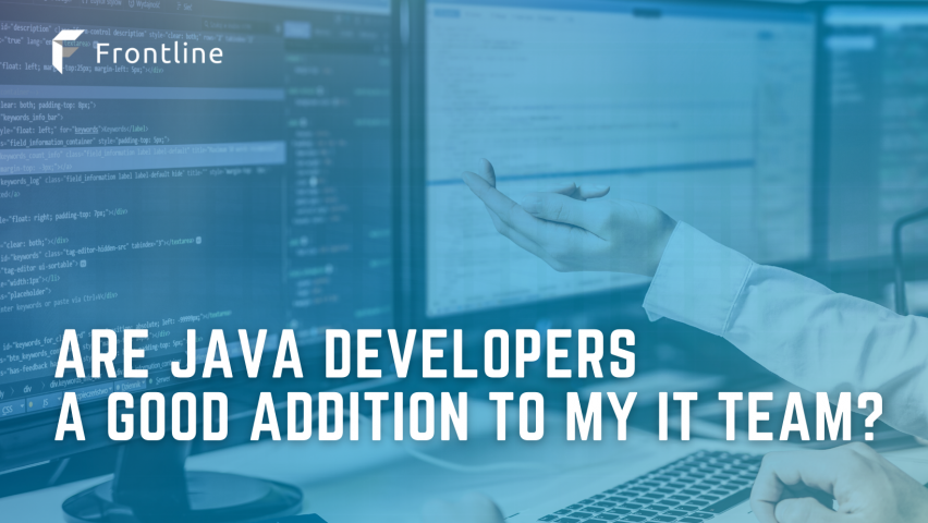 Are Java Developers A Good Addition to My IT Team?