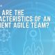 There are several traits that are commonly found in highly-efficient agile teams.